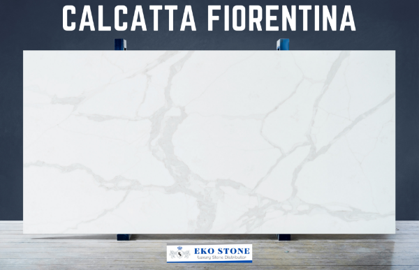 Picture of Calcatta Fiorentina