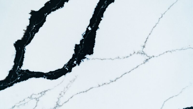 Panda White - Image 2